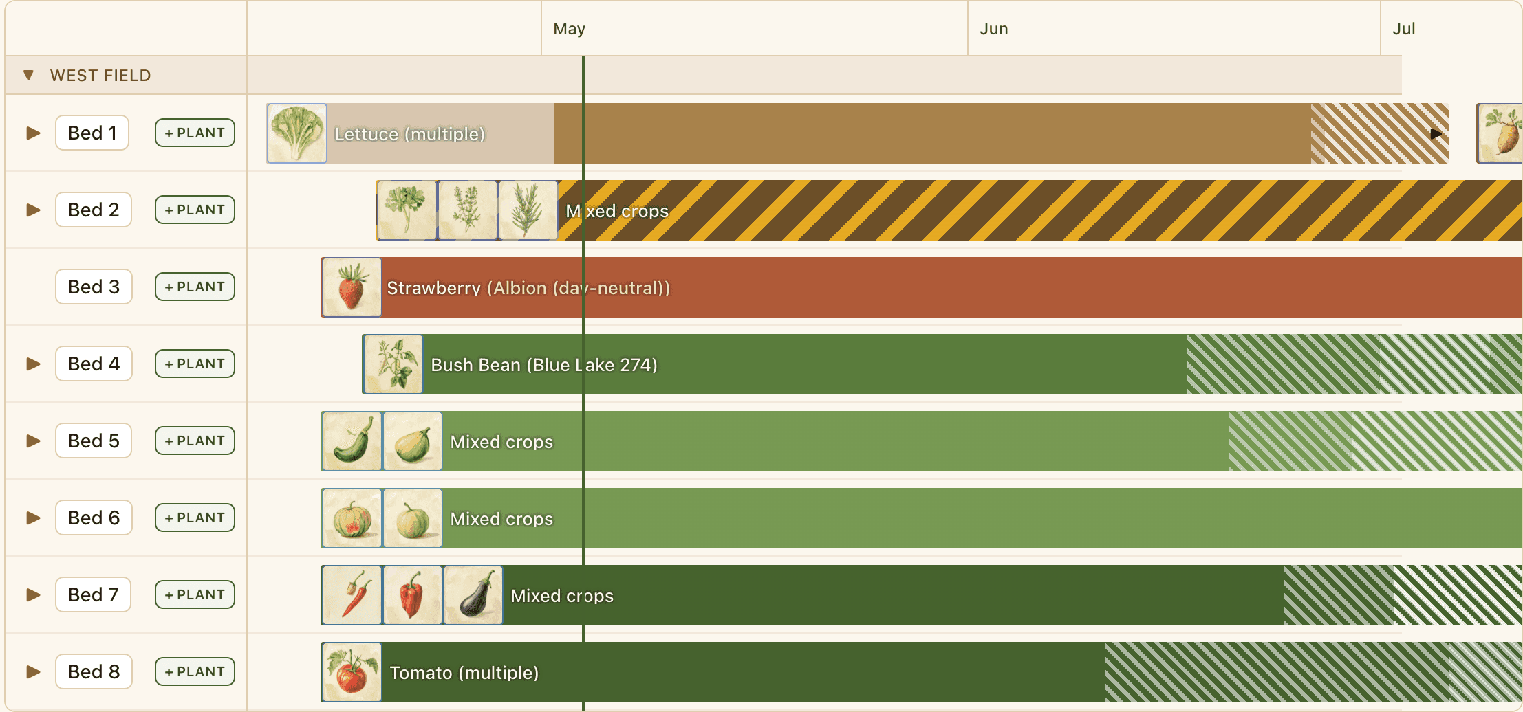 PlotsFarm Plan view — season Gantt timeline with eight beds in a West Field, each showing crop bands across May–July with seedling, growing, and harvest phases